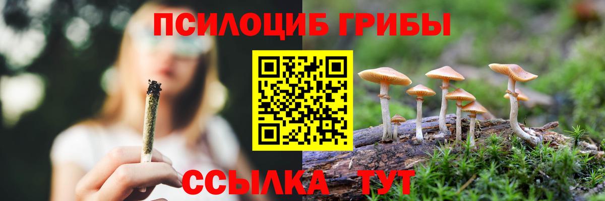 Егорьевск  Псилоцибиновые грибы Cubensis  Вход с VPN 